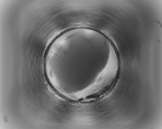 X0000102490941200808291646