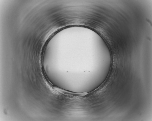 X0000102490942200808291646