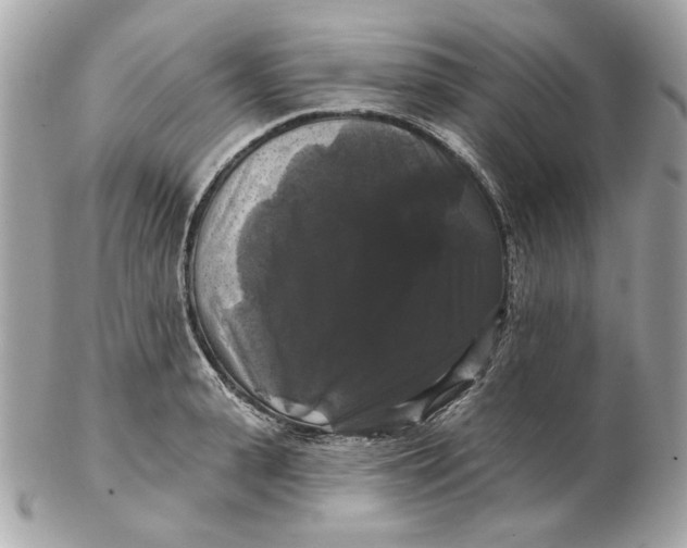 X0000102490943200808291646