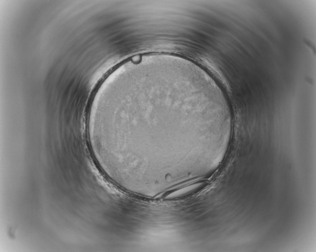 X0000102490944200808291646