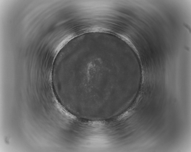 X0000102490946200808291646