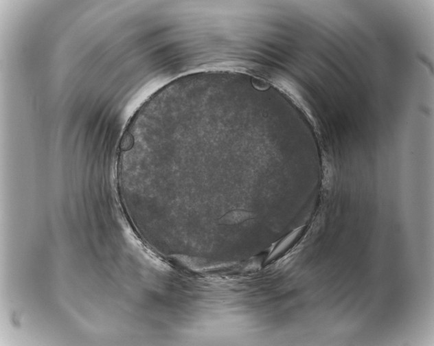 X0000102490952200808291646