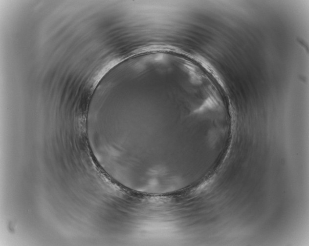 X0000102490953200808291646