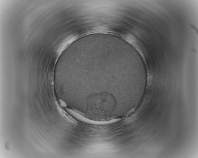 X0000102490954200808291646