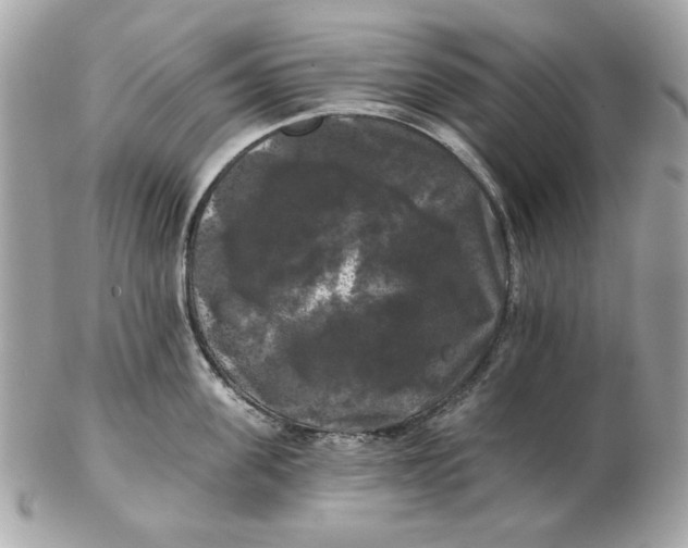 X0000102490955200808291646