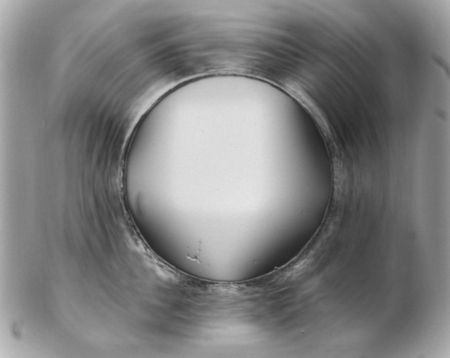 X0000102490956200808291646