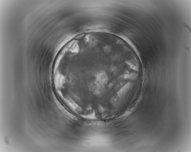 X0000102490957200808291646