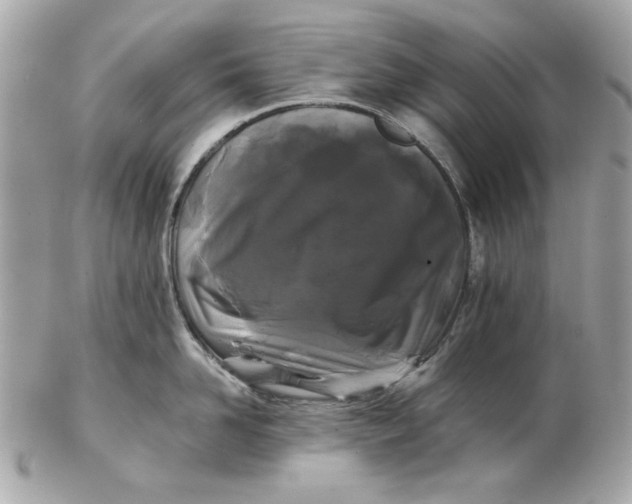 X0000102490958200808291646