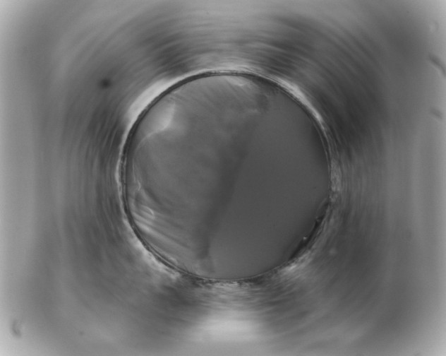 X0000102490959200808291646