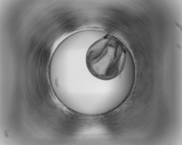 X0000102490960200808291646