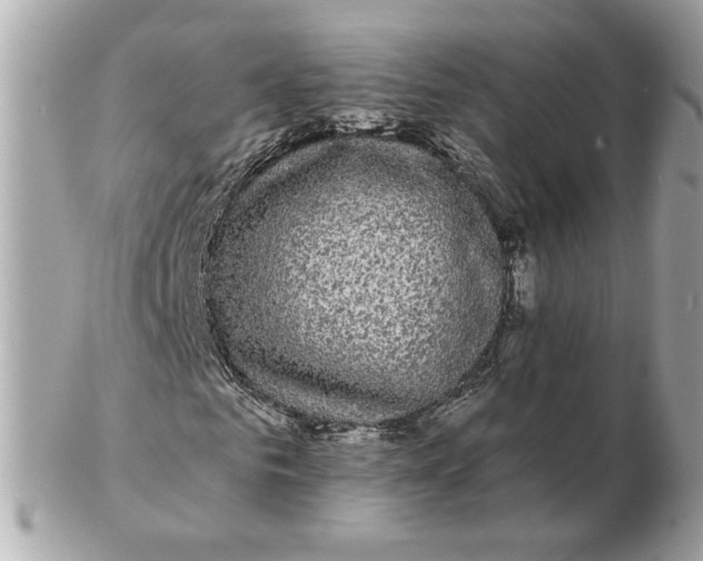 X0000102490961200808291645