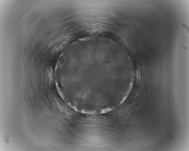 X0000102490963200808291645