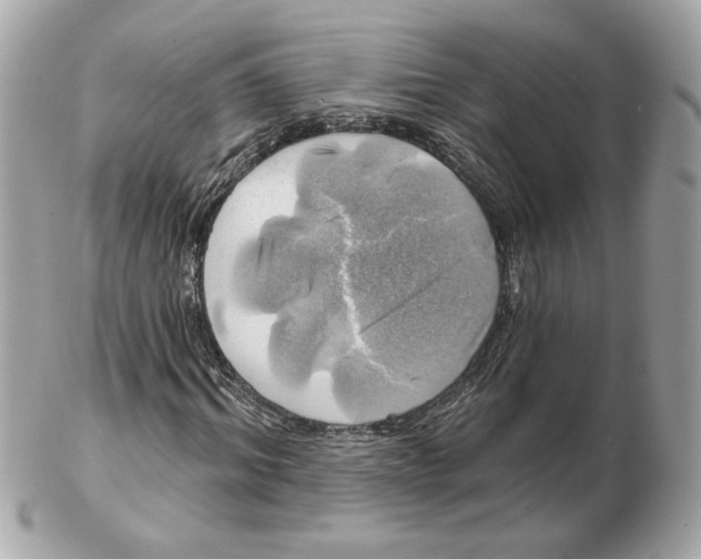 X0000102490964200808291645