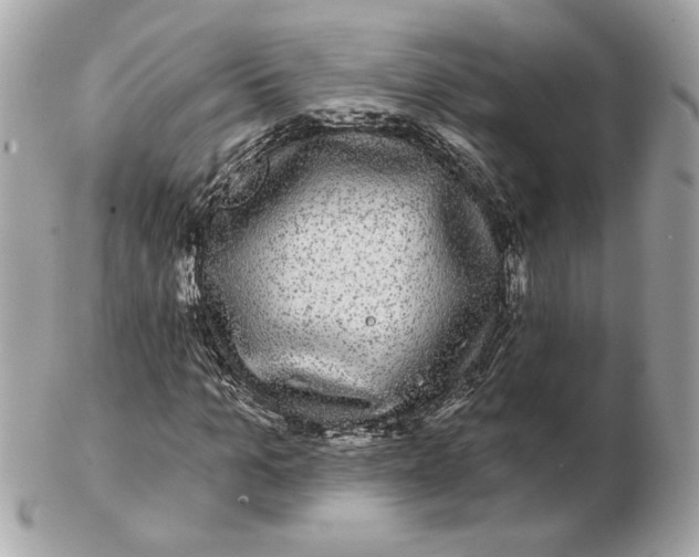 X0000102490965200808291645