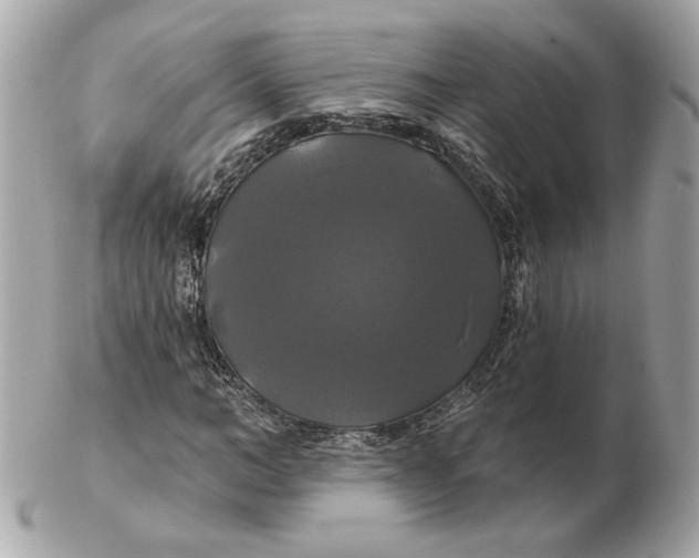 X0000102490966200808291645