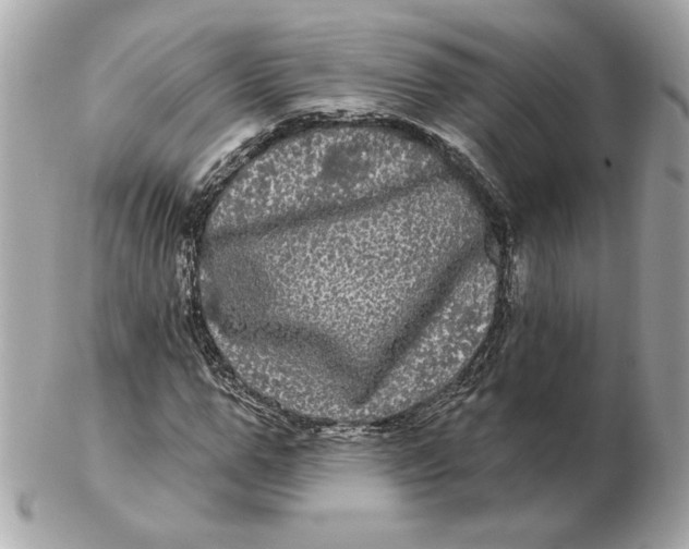 X0000102490967200808291645