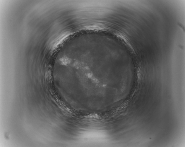 X0000102490968200808291645