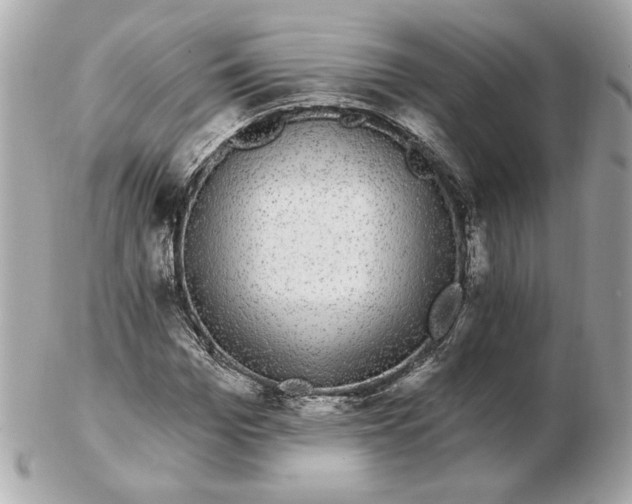 X0000102490969200808291645