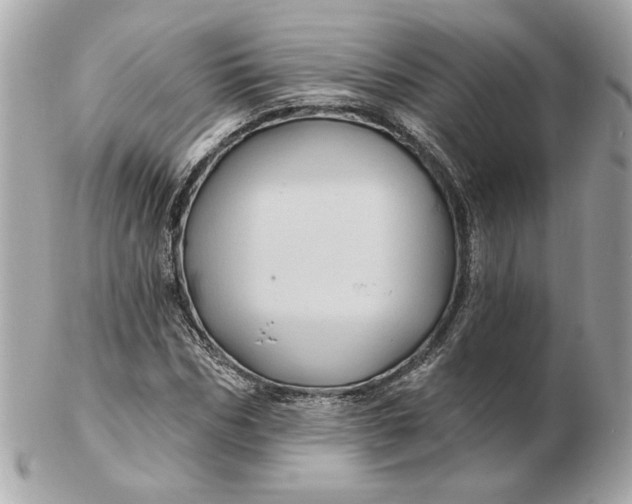 X0000102490970200808291645