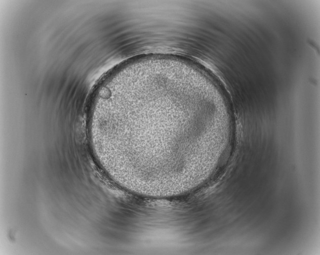 X0000102490971200808291645