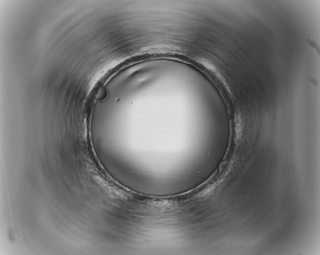 X0000102490973200808291645