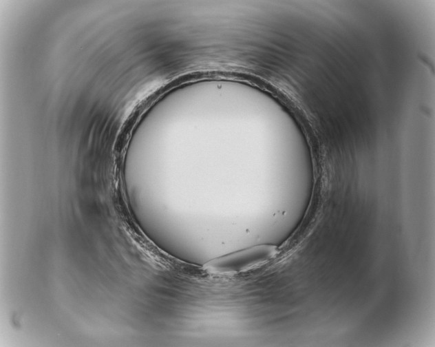 X0000102490974200808291645