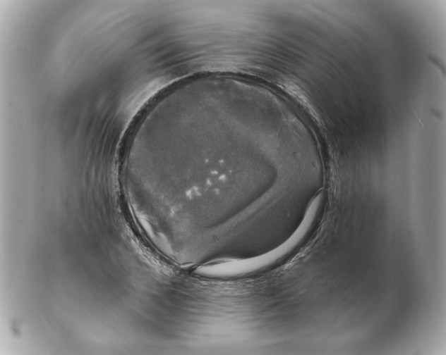 X0000102490976200808291645