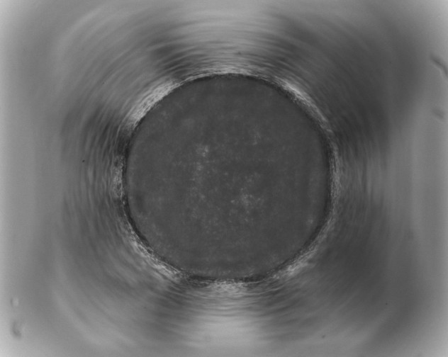 X0000102490977200808291645