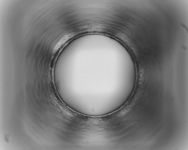 X0000102490978200808291645