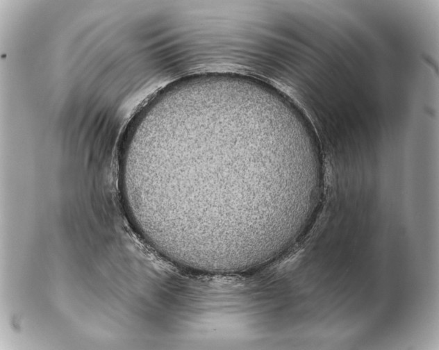 X0000102490979200808291645