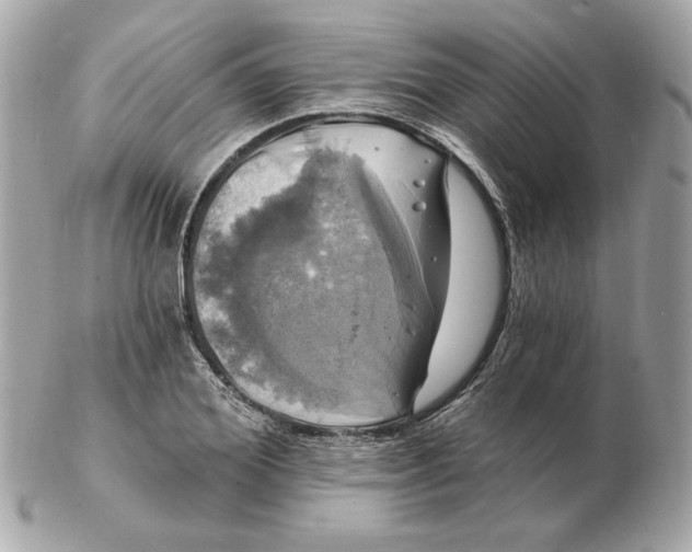 X0000102490980200808291645