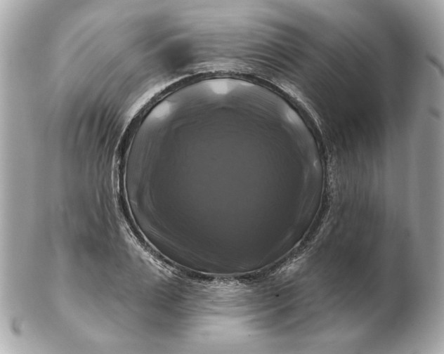 X0000102490983200808291645