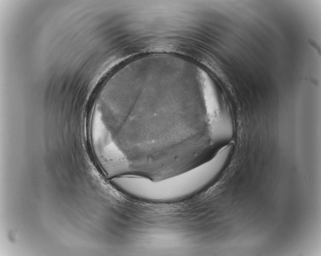 X0000102490984200808291645