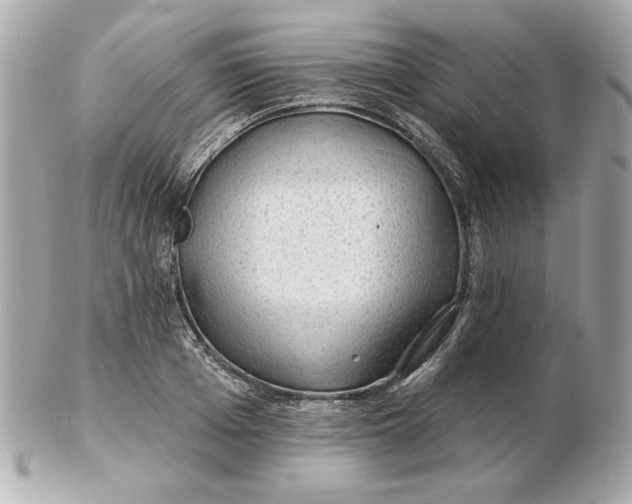 X0000102490985200808291645