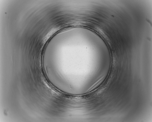 X0000102490986200808291645