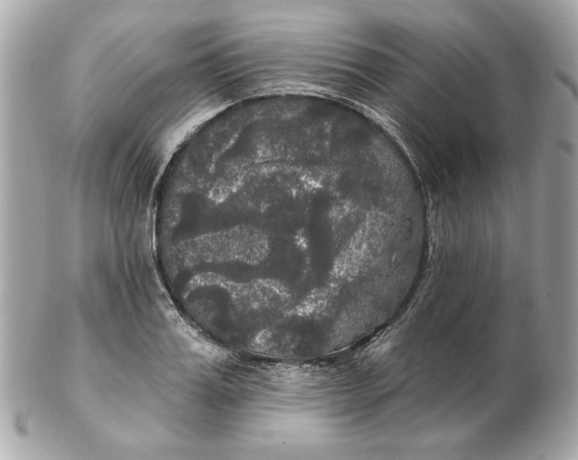 X0000102490987200808291645