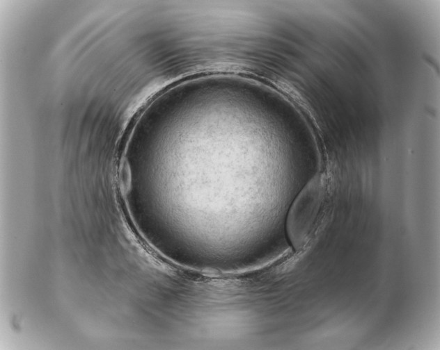 X0000102490989200808291645