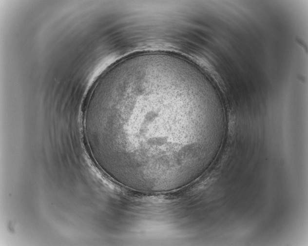 X0000102490990200808291645