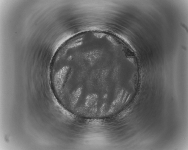 X0000102490991200808291645