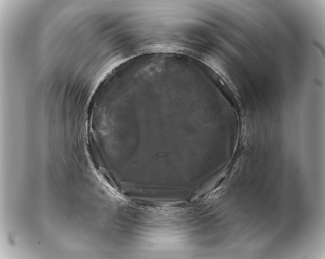 X0000102490992200808291645