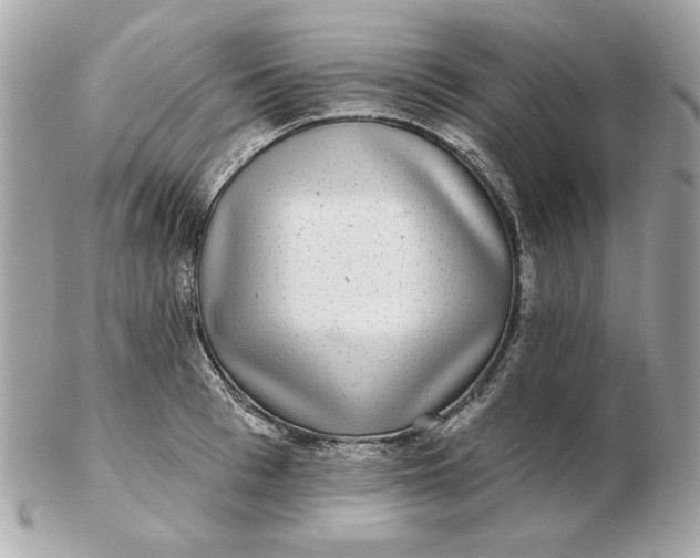 X0000102490993200808291645