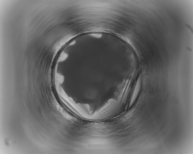 X0000102490995200808291645