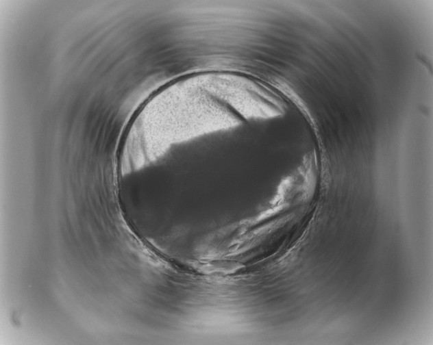 X0000102490996200808291645