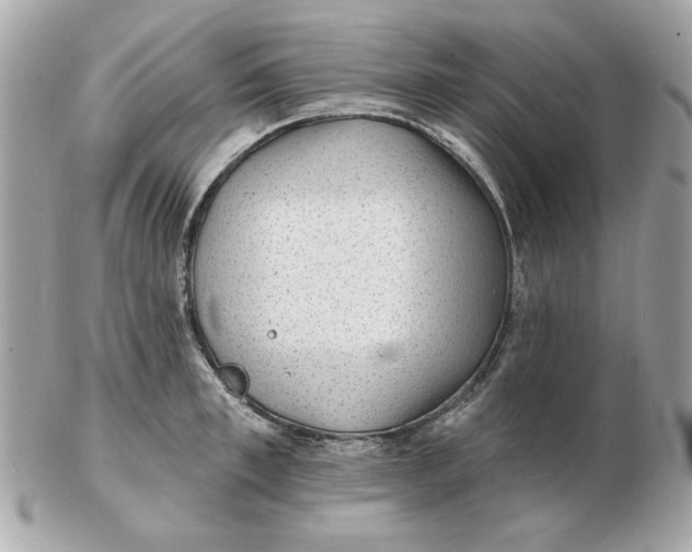 X0000102490997200808291645