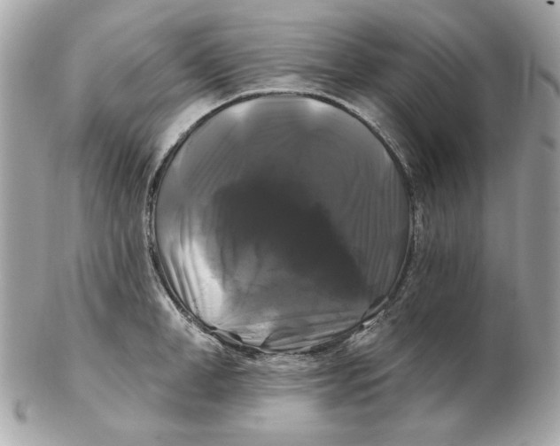 X0000102490998200808291645