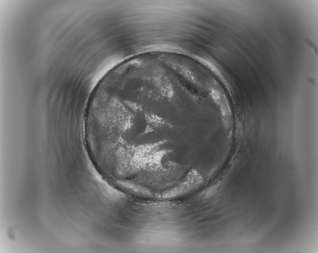 X0000102490999200808291645