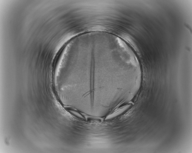 X0000102491000200808291645