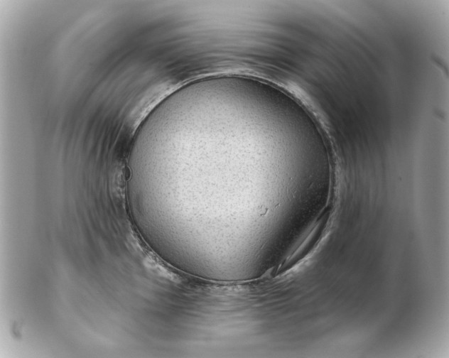 X0000102491001200808291645