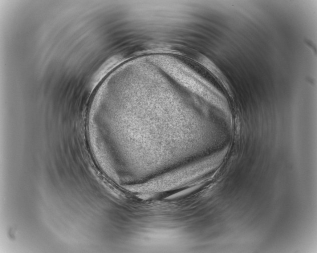 X0000102491002200808291645