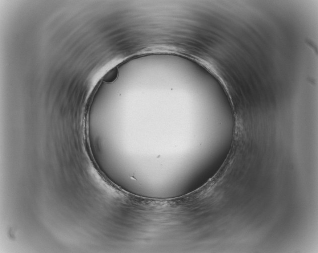 X0000102491003200808291645